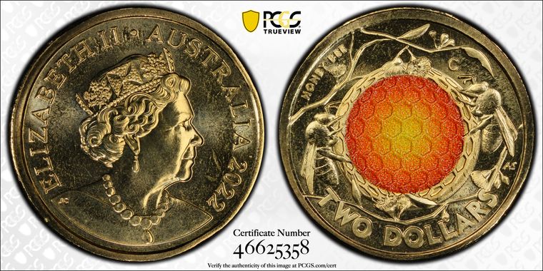 Cert 46625358 - Coin Image