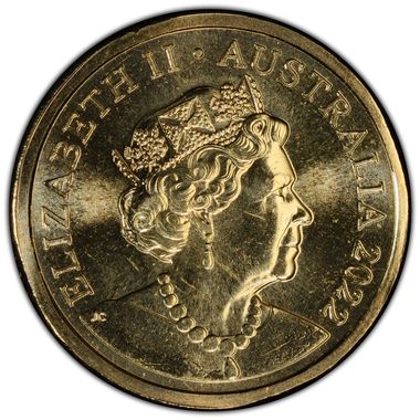 Cert 46643262 - Coin Image