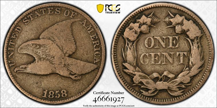Cert 46661927 - Coin Image