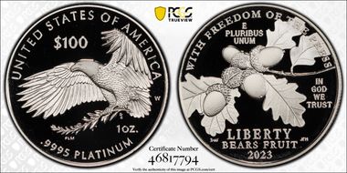 2023-W $100 Freedom of the Press First Strike PR70DCAM