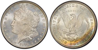 1878 8TF $1 VAM 4, Denticle Chip MS64