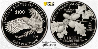 2023-W $100 Freedom of the Press First Strike PR69DCAM