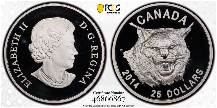 Cert 46866867 - Coin Image