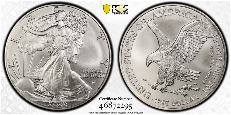 Cert 46872295 - Coin Image