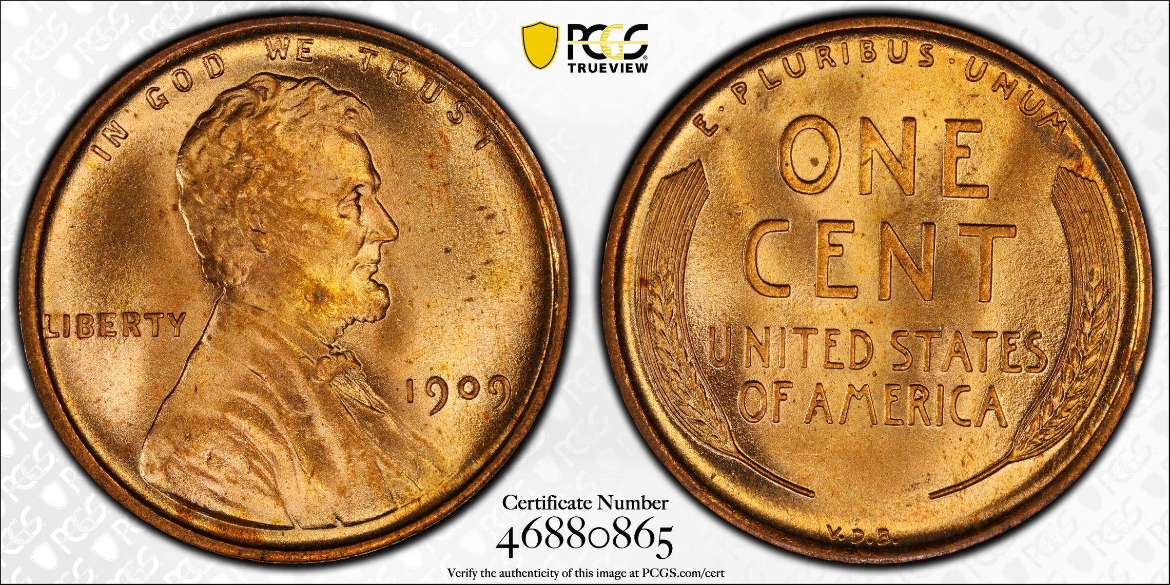 PCGS 钱币信息| 认证编号#46880865 - 1909 VDB The United States of