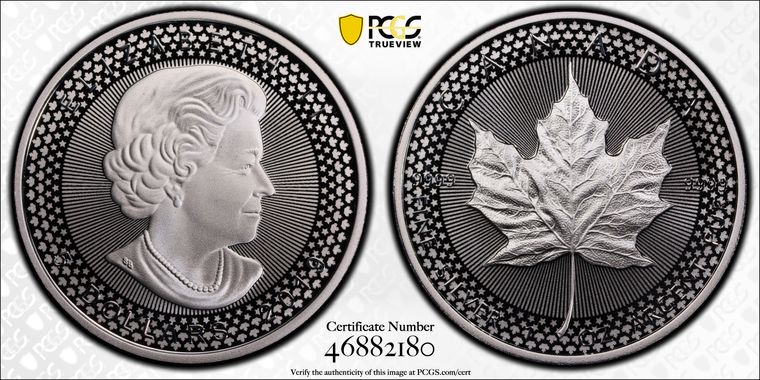 Cert 46882180 - Coin Image