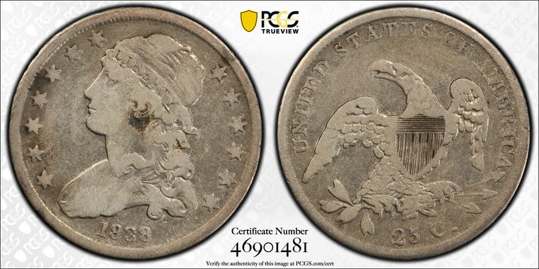 Cert 46901481 - Coin Image