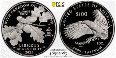 2023-W $100 Freedom of the Press First Strike PR70DCAM