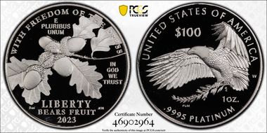 2023-W $100 Freedom of the Press First Strike PR70DCAM