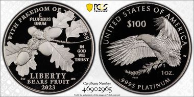 2023-W $100 Freedom of the Press First Strike PR69DCAM