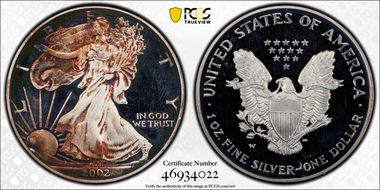 2002-W $1 Silver Eagle PR63DCAM