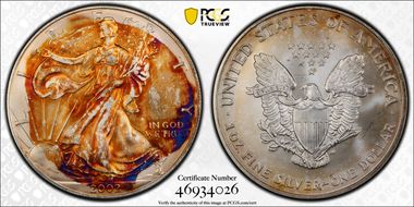 2002 $1 Silver Eagle N1