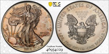 2014 $1 Silver Eagle MS66