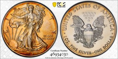 2018 $1 Silver Eagle N1
