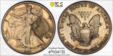 1991 $1 Silver Eagle N1