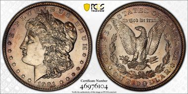 1901 $1 MS60