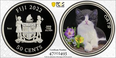 2022 50C Cats - Colorized MS70