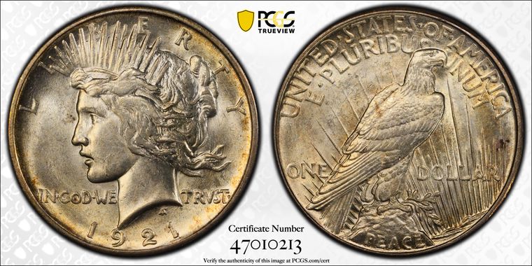 Cert 47010213 - Coin Image