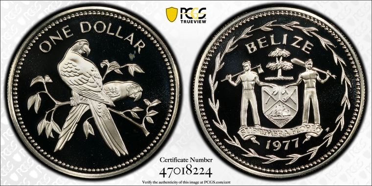 Cert 47018224 - Coin Image