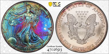 1996 $1 Silver Eagle MS67