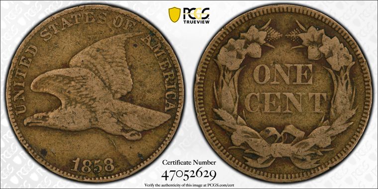 Cert 47052629 - Coin Image