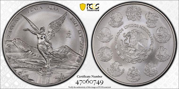 Cert 47060749 - Coin Image