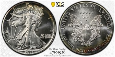 1989 $1 Silver Eagle MS69