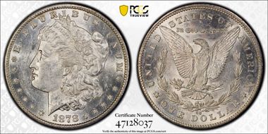 1878-CC $1 VAM 24, Doubled Leaves AU58