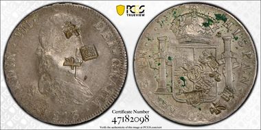 1813-PTS PJ 8 R Calico-1375 N1