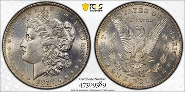 1878-S $1 VAM 6, Doubled RIB MS62