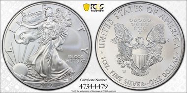 2020-W $1 Burnished Silver Eagle SP69