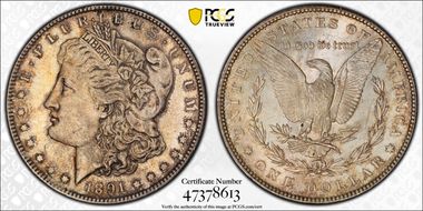 1891-S $1 MS62