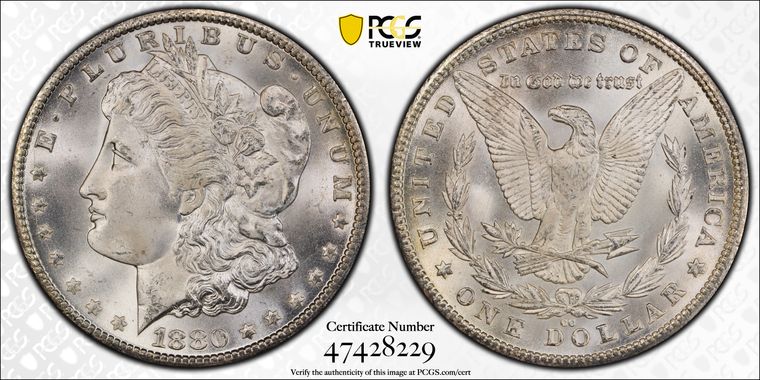 Cert 47428229 - Coin Image