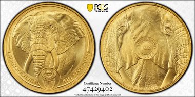2022 50 Rand Big Five- African Elephant Au 1 oz MS69