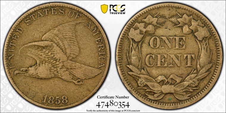 Cert 47480354 - Coin Image