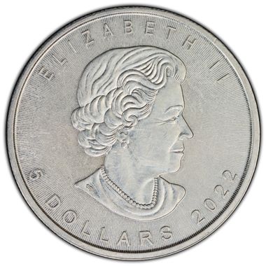 Cert 47510003 - Coin Image