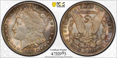 1891 $1 MS63