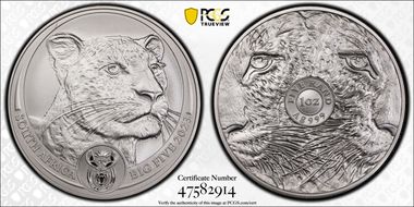 2023 5 Rand Big Five- Leopard MS70