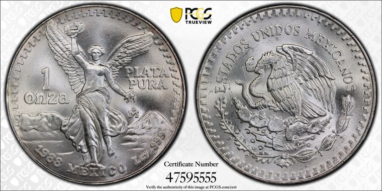 Cert 47595555 - Coin Image