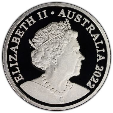 Cert 47648382 - Coin Image