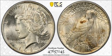 1924 $1 VAM 1G Wing Break MS63
