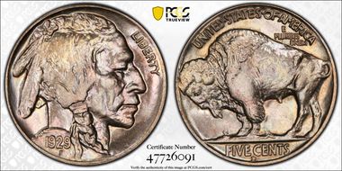 1929-D 5C MS66+