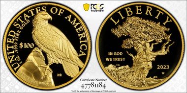 2023-W $100 American Liberty High Relief .9999 Fine First Strike PR70DCAM