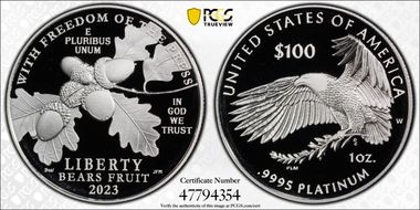 2023-W $100 Freedom of the Press PR70DCAM