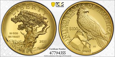 2023-W $100 American Liberty High Relief .9999 Fine PR70DCAM