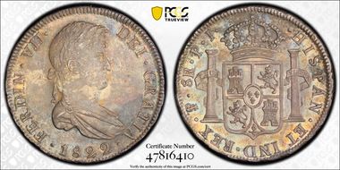 1822-PTS PJ 8 R Calico-1386 N1