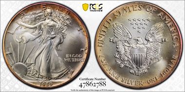 1989 $1 Silver Eagle MS69