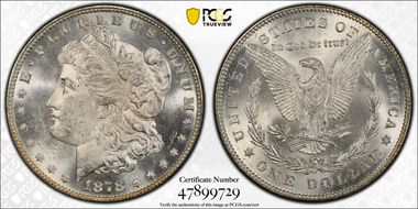 1878 7TF $1 Reverse of 1878 MS64