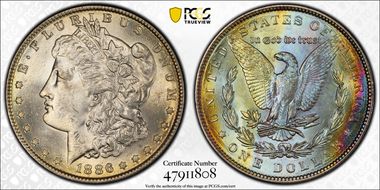 1886 $1 MS63