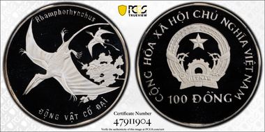 1993 100 D Rhamphorhynchus PR69DCAM